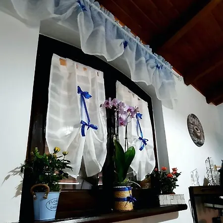 La Corte Liberty Rosa *